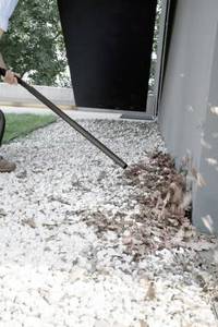 REVE-aspiradora en húmedo y seco, negro, amarillo - Product Image 2