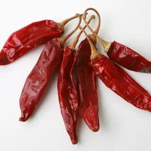 Red Chili-Frisch/getrocknet/Pulver Chili Pfeffer neueste Ernte hochwertige KOSTENLOSE STEUER aus Vietnam