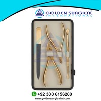 Ensemble professionnel de manucure et pédicure GOLDEN, kit de coupe-ongles en acier inoxydable |   Instruments de beauté modèle GSI-541