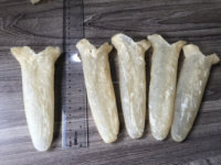 Vessie de poisson séchée de Perche du Nil / Vessie de poisson séchée de Croaker jaune / Vessie de poisson Corvina pour la préparation de soupe à la vessie de poisson