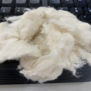 Vente en gros de déchets de textile en coton blanchi Comber Noil pour filature au Vietnam directement de la source - Product Image 5