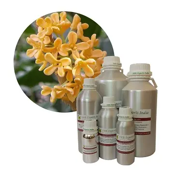 Minyak Osmanthus dari India Bersertifikat Osmanthus Absolute Oil dengan Harga Grosir Minyak Osmanthus Curah dengan Harga Grosir