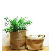 Pot Tanaman Lantai Modern dari Jute untuk Produksi Pembibitan Bunga, Penggunaan Rumah & Kebun, Bangladesh