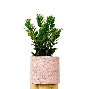水泥水磨石花盆好设计粉色现代形状价格便宜的药草盒混装
