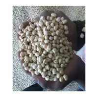 ホットセラー2022作物有機カブリチャナチクエンドウ豆豆OEMカスタムバルクカブリチクエンドウ豆/インドカブリチャナ