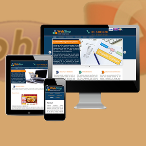 PHP and Flash/Flex Integration Services in India | Award Winning PHP Website Design & <b>Development</b> Services by Webroot Infosoft - Product Image 3