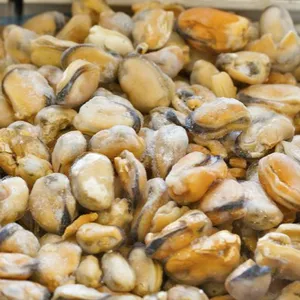 Top Quality Frozen Shellfish Mussels for sale