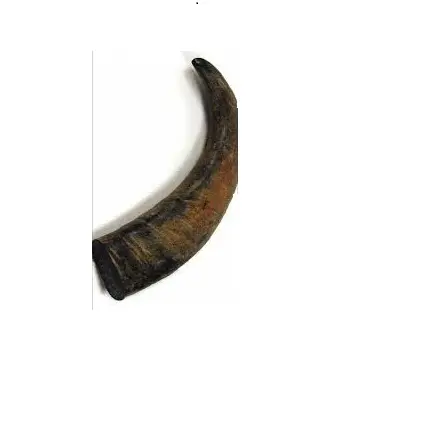 Buffalo horn yuvarlak ipuçları boynuz rulo ve bıçak sapı yapmak ve kraliyet şık en iyi fiyat ile düğme öküz boynuz