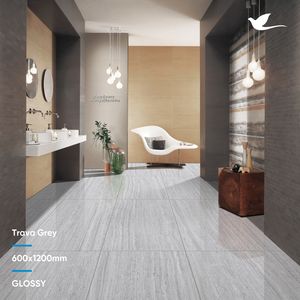Carreaux de sol en porcelaine, vente chaude, couleur grise, surface brillante, carreaux de sol et de mur pour salle de bain, 600x1200mm, fabricant indien leader - Product Image 3