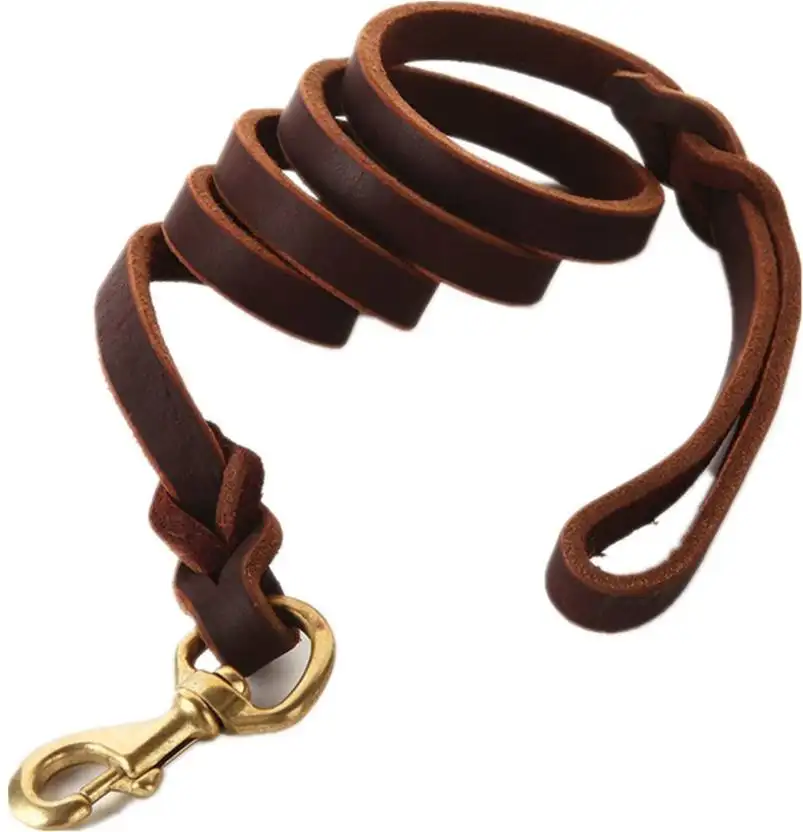 Laisse et collier en cuir pour chien, accessoires d'entraînement à la marche, pour chiot berger allemand, laisse