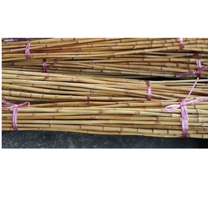 Superventas 3M Material de caña de ratán natural de tamaño pequeño Single SE Asia Muebles de invernadero Producto agrícola global - Product Image 3