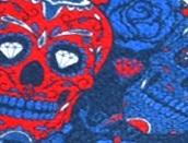 หน้ากะโหลกศีรษะ