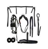 Hardware y equipo de conducción de cuero negro DD con hebillas SS Juego de arnés de Peto de caballo