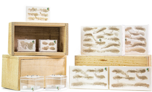 Decoración moderna para el hogar, laberinto de plástico, colonia de nido de hormiga para amante de las hormigas - Product Image 6