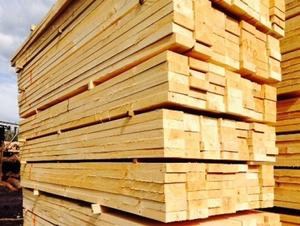 High Quality Premium Wood <b>Timber</b> Logs Teak Oak Pine Birch Hardwood-for Furniture Use - Product Image 4