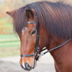 Alta calidad-caballo islandés Bridle-especialmente diseño para caballos islandeses