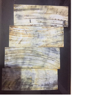 Plaques en forme de corne du citrouille, 12 pièces, tailles assorties, adaptées aux fabricants de lunettes et pour l'artisanat