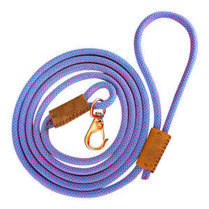 Laisse de chien en cuir de luxe personnalisée à motif imprimé solide petite laisse rembourrée pour animaux de compagnie décoration en dentelle pour l'entraînement à la marche en plein air - Product Image 6