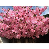 Pohon Sakura Jepang Buatan Realistis Tinggi 500cm Warna Pink, Simulasi Tinggi dari Fiberglass, Gaya Modern Mewah untuk Interior