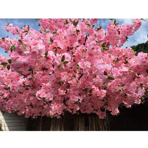 Lớn 500Cm Chiều Cao Nhân Tạo Màu Hồng Nhật Bản Hoa Anh Đào Cây Cao Mô Phỏng Bền Sợi Thủy Tinh Thực Tế Bền Cho Bán - Product Image 4