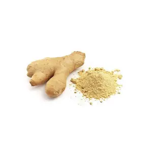 Bán buôn gingerols 1.5% hplc nước hòa tan hữu cơ gừng chiết xuất từ rễ bột