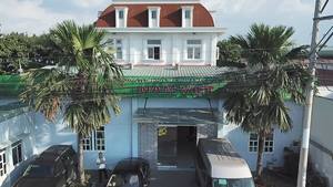 น้ำมะพร้าวผสมน้ำสับปะรดบรรจุกระป๋อง 330 มล. บริการ ODM OEM - Product Image 6