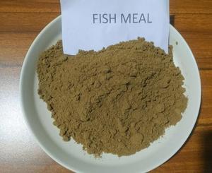 Farine de poisson riche en protéines fabriquée au Vietnam - Product Image 2