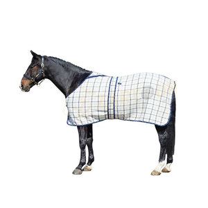 Alfombras de caballo ligeras hechas a medida hoja de lluvia de caballo para la venta mejor calidad 300 GSM polar personalizar tamaño diseño color - Product Image 5