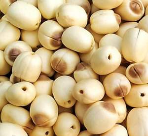 Graines de lotus séchées du Vietnam, bonne nourriture // Jolene +84 336089155 - Product Image 6