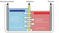 Ioniseur d'eau alcaline électrique domestique japonais à 3 étapes en titane et plastique, purificateur, distributeur, filtre, débit de 3,8 L/min, 12 000 L de filtration