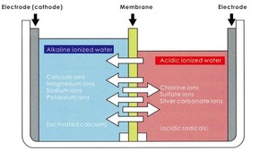 Ioniseur électrique en plastique Buder fabriqué au Japon avec antioxydant et ORP maximal de -450 mV pour usage domestique - Product Image 5