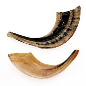 Shofar yemenita de alta calidad, cuerno de Animal pulido ecológico, artesanías naturales crudas con estilo náutico para un sonido limpio - Product Image 3