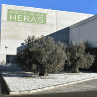 Aceite de oliva Extra virgen, botella de marasca marrón de vidrio de 250ml, prensado en frío, hecho en España