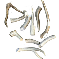 Fouet de chien cerf-cloche pour l'entraînement ou la chasse, tir, pistolet fait à la main, convient au chien
