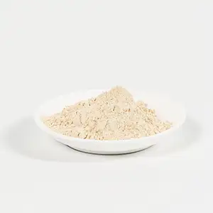 Polvo de proteína de planta orgánica, suministro de fábrica, proteína de arroz orgánico Natural, aislante, comida de proteína de arroz