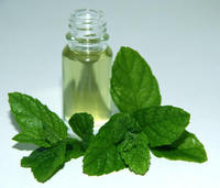 Minyak Mint kualitas makanan organik 100% minyak esensial pepermin Piperita alami murni