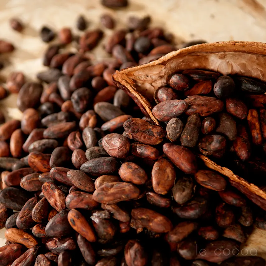 Sri Lanka Organic Dry Cocoa Beans