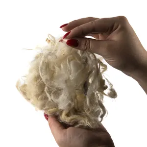 Cừu Merino Lông Cừu Trắng Cỡ Trung 20-25 Micron - Product Image 1