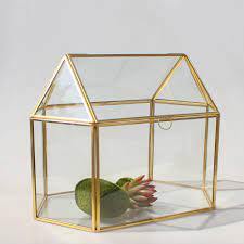 Abri de terrarium pour la maison, jardin, hôtel, bureau et spa, décoration - Product Image 6