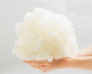 ORGANIC KAPOK FIBER - in VIET NAM - Product Image 4