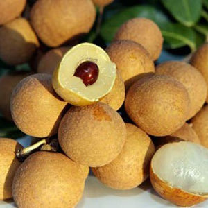 ลำไยออร์แกนิก//ผลไม้ลำไย - Product Image 3