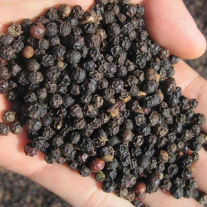 Best Seller Vietnam Black Pepper Strong Aroma High Piperine Premium Quality for Industrial Food and Seasoning Use - Product Image 1