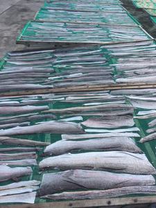 หนังปลาแซลมอนแห้งเวียดนาม / หนังปลาที่ขจัดไขมัน คุณภาพสูง / คุณลิมา - Product Image 3