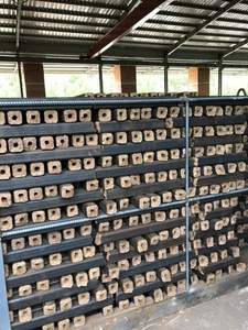 Charbon De bois De Sciure De Bois De Charbon De Bois BARBECUE GRILL DE GF Vietnam équivalent - Product Image 2