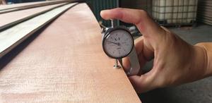 Madera Contrachapada de Primera Clase para Interiores de Hoteles, Diseño Moderno, Calidad Competitiva, Color Rojo y Blanco, E1 Birch, 1 Año de Garantía - Product Image 3