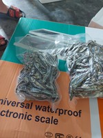 Anchois argentés surgelés IQF, poisson de mer de qualité supérieure, export Nafi pour le marché européen (Anchois) - Emballage en sacs