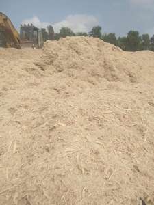 BAGASSE SILAGE/ DÉCHETS DE CANNE À SUCRE BAGASSE/ DÉCHETS AGRICOLES - Product Image 5