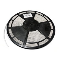 Bande lumineuse LED 30V certifiée CE Rohs pour enseigne, bande LED flexible en forme de S, 2835