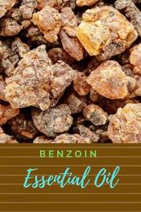 STYRAX BENZOIN UTILE EN POUDRE Offre Spéciale AU VIETNAM - Product Image 6