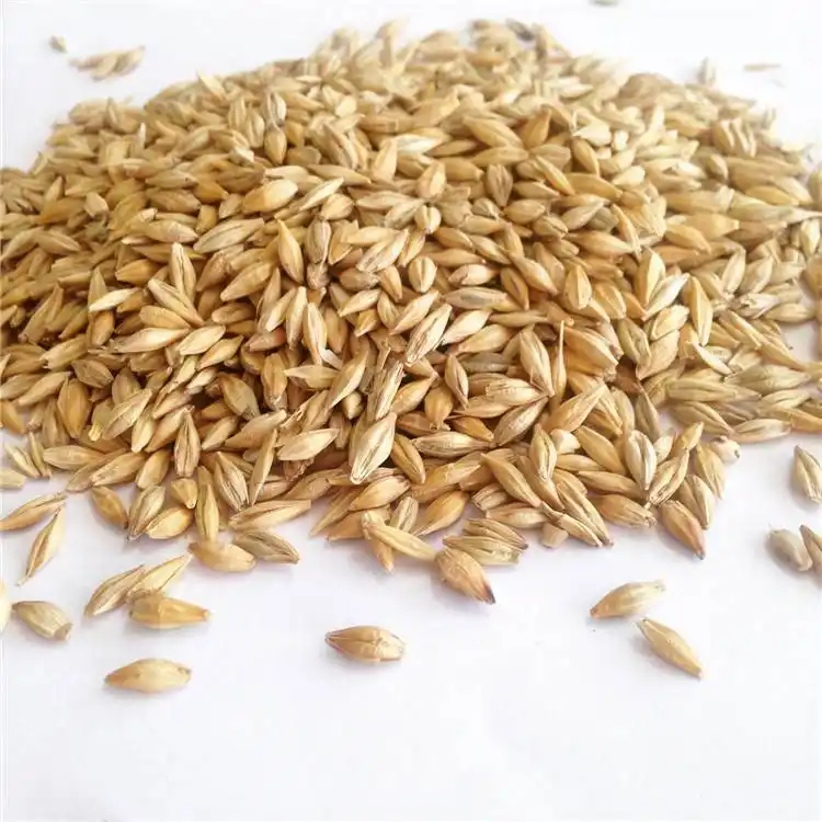human and animal feed barley